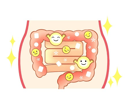 ●薬物治療 　まずは、生活習慣の改善やストレスの軽減を図りますが、改善されない場合、薬物治療を行っていきます。初期としては、下痢にも便秘にも効果がある、便の水分バランスをコントロールするポリカルボフィルカルシム（コロネル®、ポリフル®）や消化管機能調節薬であるトリメブチン（セレキノン®）が用いられます。これらの効果が乏しかった場合、症状に応じた治療薬が用いられます。