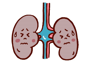 そのため、定期検診や他の病気の血液検査や尿検査をしたときに発見されることが多いので、この結果を軽視しないことが大切です。また、CKDは、腎機能の低下により薬の種類・量が原因で病状が悪化したり、薬の副作用が発現することが多い疾患です。そのため、腎機能を知ることはとても大切なことです。