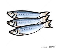 食事の偏りは体の免疫力を弱める原因のひとつ。特に青魚に多く含まれるEPA（エイコサペンタエン酸）は、アレルギーによる鼻づまりをやわらげるともいわれているので、たくさん食べたいものです。